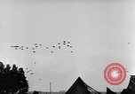 Standbild britische Truppen Frankreich, 1944, aus Sekunde 15 historischem Filmmaterial Videoclip 65675043859