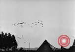 Standbild britische Truppen Frankreich, 1944, aus Sekunde 16 historischem Filmmaterial Videoclip 65675043859
