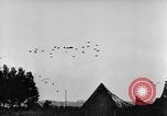 Standbild britische Truppen Frankreich, 1944, aus Sekunde 17 historischem Filmmaterial Videoclip 65675043859