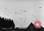 Standbild britische Truppen Frankreich, 1944, aus Sekunde 25 historischem Filmmaterial Videoclip 65675043859