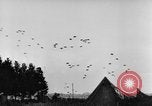 Standbild britische Truppen Frankreich, 1944, aus Sekunde 26 historischem Filmmaterial Videoclip 65675043859