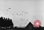 Standbild britische Truppen Frankreich, 1944, aus Sekunde 28 historischem Filmmaterial Videoclip 65675043859