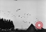 Standbild britische Truppen Frankreich, 1944, aus Sekunde 29 historischem Filmmaterial Videoclip 65675043859