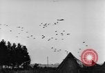 Standbild britische Truppen Frankreich, 1944, aus Sekunde 30 historischem Filmmaterial Videoclip 65675043859