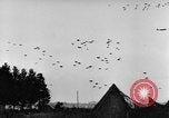 Standbild britische Truppen Frankreich, 1944, aus Sekunde 32 historischem Filmmaterial Videoclip 65675043859