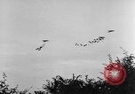 Standbild britische Truppen Frankreich, 1944, aus Sekunde 51 historischem Filmmaterial Videoclip 65675043859