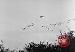 Standbild britische Truppen Frankreich, 1944, aus Sekunde 54 historischem Filmmaterial Videoclip 65675043859