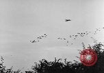 Standbild britische Truppen Frankreich, 1944, aus Sekunde 55 historischem Filmmaterial Videoclip 65675043859