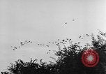 Standbild britische Truppen Frankreich, 1944, aus Sekunde 61 historischem Filmmaterial Videoclip 65675043859