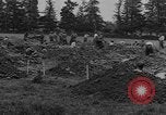 Image of German prisoners dig graves for American soldiers France, 1944, second 22 stock footage video 65675043863