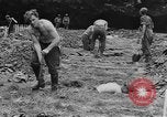 Image of German prisoners dig graves for American soldiers France, 1944, second 34 stock footage video 65675043863