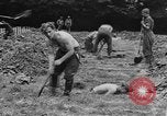 Image of German prisoners dig graves for American soldiers France, 1944, second 35 stock footage video 65675043863