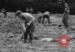 Image of German prisoners dig graves for American soldiers France, 1944, second 36 stock footage video 65675043863