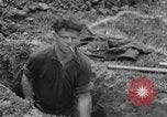 Image of German prisoners dig graves for American soldiers France, 1944, second 40 stock footage video 65675043863