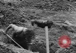 Image of German prisoners dig graves for American soldiers France, 1944, second 46 stock footage video 65675043863