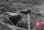 Image of German prisoners dig graves for American soldiers France, 1944, second 47 stock footage video 65675043863