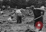 Image of German prisoners dig graves for American soldiers France, 1944, second 53 stock footage video 65675043863