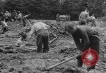 Image of German prisoners dig graves for American soldiers France, 1944, second 56 stock footage video 65675043863