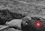 Image of German prisoners dig graves for American soldiers France, 1944, second 60 stock footage video 65675043863