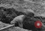 Image of German prisoners dig graves for American soldiers France, 1944, second 62 stock footage video 65675043863