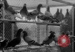 Standbild USA Soldaten Fort Monmouth New Jersey USA, 1942, aus Sekunde 16 historischem Filmmaterial Videoclip 65675043868