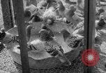 Standbild USA Soldaten Fort Monmouth New Jersey USA, 1942, aus Sekunde 36 historischem Filmmaterial Videoclip 65675043868