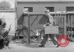 Standbild USA Soldaten Fort Monmouth New Jersey USA, 1942, aus Sekunde 37 historischem Filmmaterial Videoclip 65675043868