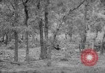 Standbild USA Soldaten Fort Monmouth New Jersey USA, 1942, aus Sekunde 55 historischem Filmmaterial Videoclip 65675043868