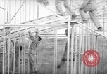 Standbild USA Fallschirmjäger Fort Benning Georgia USA, 1942, aus Sekunde 10 historischem Filmmaterial Videoclip 65675043869