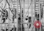 Standbild USA Fallschirmjäger Fort Benning Georgia USA, 1942, aus Sekunde 17 historischem Filmmaterial Videoclip 65675043869