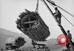 Image 1re Compagnie d'assaut Ingénieur Italie Vallée Po, 1945, de la seconde 20 séquences d'archives historiques vidéo 65675043871