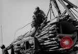 Image 1re Compagnie d'assaut Ingénieur Italie Vallée Po, 1945, de la seconde 59 séquences d'archives historiques vidéo 65675043871