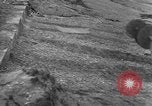 Image of British Army tanks Europe, 1942, second 50 stock footage video 65675043875