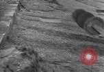 Image of British Army tanks Europe, 1942, second 51 stock footage video 65675043875