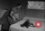 Image of sea lion Flip California United States USA, 1964, second 10 stock footage video 65675043878