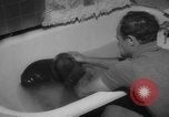 Image of sea lion Flip California United States USA, 1964, second 16 stock footage video 65675043878