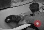 Image of sea lion Flip California United States USA, 1964, second 17 stock footage video 65675043878