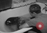 Image of sea lion Flip California United States USA, 1964, second 19 stock footage video 65675043878