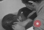 Image of sea lion Flip California United States USA, 1964, second 22 stock footage video 65675043878