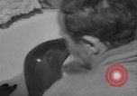 Image of sea lion Flip California United States USA, 1964, second 25 stock footage video 65675043878