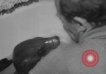 Image of sea lion Flip California United States USA, 1964, second 26 stock footage video 65675043878