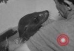 Image of sea lion Flip California United States USA, 1964, second 27 stock footage video 65675043878