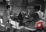 Image of sea lion Flip California United States USA, 1964, second 31 stock footage video 65675043878
