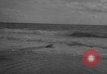 Image of sea lion Flip California United States USA, 1964, second 49 stock footage video 65675043878