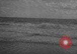 Image of sea lion Flip California United States USA, 1964, second 50 stock footage video 65675043878