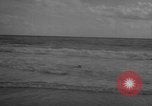 Image of sea lion Flip California United States USA, 1964, second 51 stock footage video 65675043878
