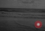 Image of sea lion Flip California United States USA, 1964, second 56 stock footage video 65675043878