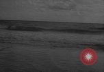 Image of sea lion Flip California United States USA, 1964, second 58 stock footage video 65675043878