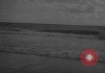 Image of sea lion Flip California United States USA, 1964, second 61 stock footage video 65675043878