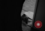 Image of sea lion Flip California United States USA, 1964, second 62 stock footage video 65675043878
